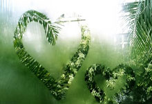 买球网 -库里多次力保格(gé)林！但(dàn)如果科尔离开，格(gé)林可能会被交(jiāo)易！