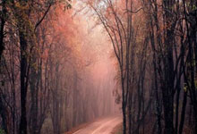 买球网 -2026“苏超”小微企业赞助商名单出炉